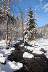 A stream in the forest in winter. Landscape with a creek among trees and snow in wild nature