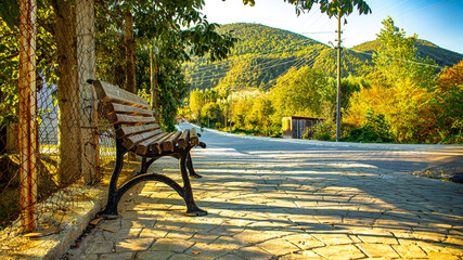  A serene park bench on a sunlit cobblestone walkway evokes tranquility and reflection.