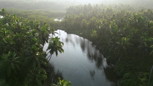Aerial view on the backwaters of Kannur, India