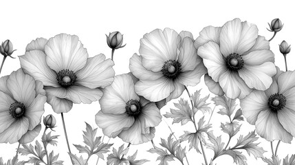 Black and white illustration of a tiny small flower that is blooming with a white background. Minimalist style.