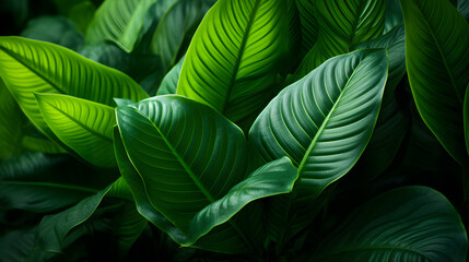 Vibrant tropical leaves,  Nature leaves, green tropical forest. Generative AI