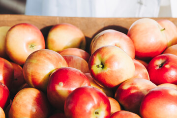 Pommes rouges et jaunes en vente sur un étal de marché de producteurs