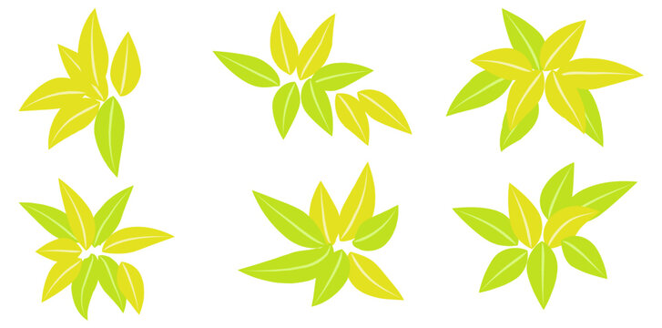 Collection Of Autumn Fall Yellow Leaves Flat Icon, Leaves Of Trees For Eco Design Vector Illustration.