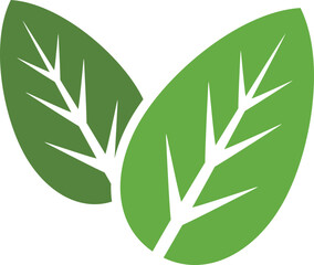 Nature Leaf Logo Icon