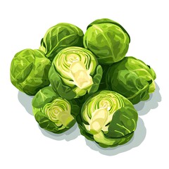 Fototapeta premium Brussels sprouts isolated on white background