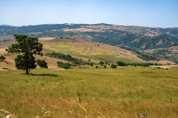 Country landscape near Potenza, Basilicata, Italy