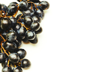 A bunch of ripe black grapes. Making wine, juices. Dessert