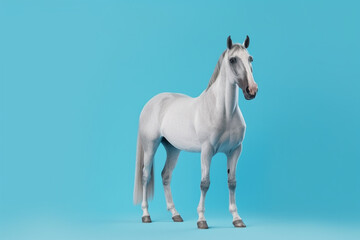 Obraz na płótnie Canvas horse on blue background, copy space for text