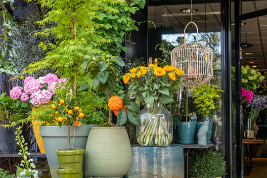 Flower kiosk in downtown Hilversum, Netherlands