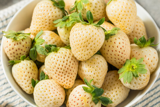 Organic Raw White Pineberry Strawberry