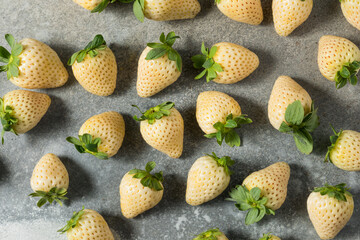 Organic Raw White Pineberry Strawberry