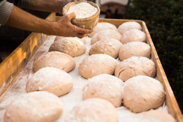 Bread preparation. loaves of dough before baking