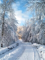 - 3 winter roads in the countryside