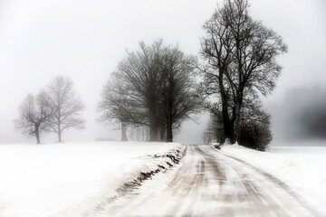 Obraz na płótnie Canvas - foggy landscape with a country road on a winter day