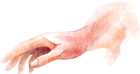 Fototapeta premium Gently human hand . Watercolor painting design . PNG .