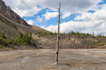 Dead Lake Maashey in the Altai Mountains