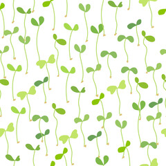 Seamless pattern with young microgreen sprouts