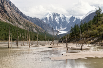 Maashay River Valley in the Altai Mountains