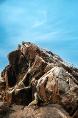 A seal rests on rocks in the pacific ocean near Peru