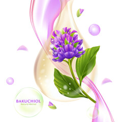 concept of Bakuchio Serum Natural Retinol for Skin Care Cosmetic poster, banner design