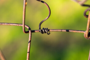Dead tendrils of vines clinging on the wire fence in a vineyard. Spiral