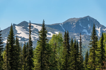 Mountain taiga of the Kuznetsk Alatau. Western Sayan mountains
