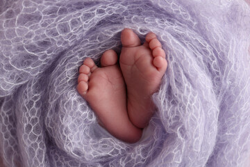 The tiny foot of a newborn baby. Soft feet of a new born in a lilac, purple wool blanket. Close up...