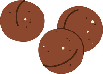 Maroochi bauple or macadamia nut in shell