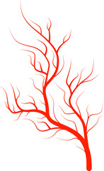 Vein blood vessel, artery pulmonary thrombosis