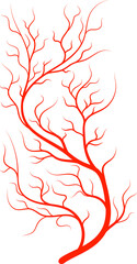 Eye capillary icon, red blood vein anatomy artery