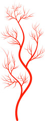 Human blood anatomy element blood vessel vein icon