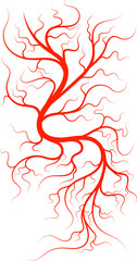 Blood vessel red vein artery, eyeball capillary