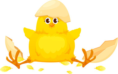 Newborn chicken hatching from egg, chick character