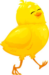 Walking yellow chicken cute funny animal bird