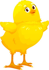 Happy chick with wide spread wings, chicken bird
