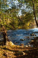 imagen del río Ter entre los árboles