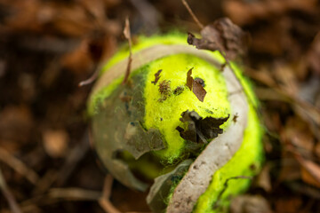 imagen detalle textura pelota de tenis en mal estado