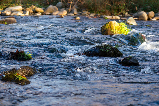 imagen de un río con el agua chocando con las rocas
