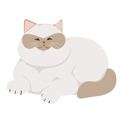 Cute cat illustration isolated on a white background PNG. Bright color cartoon cat vector illustration.