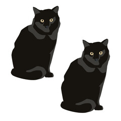 Vector black cat sitting isolated on white background