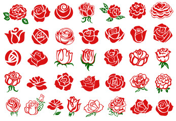 Fototapeta na wymiar Rose flower bundle set