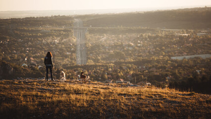 woman walking with two dogs on a hill with a city in the background at sunset