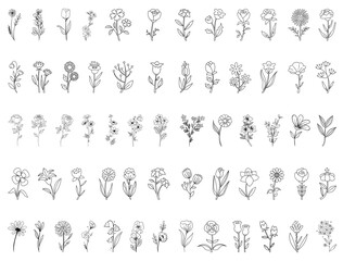 Flowers silhouette vector art white background