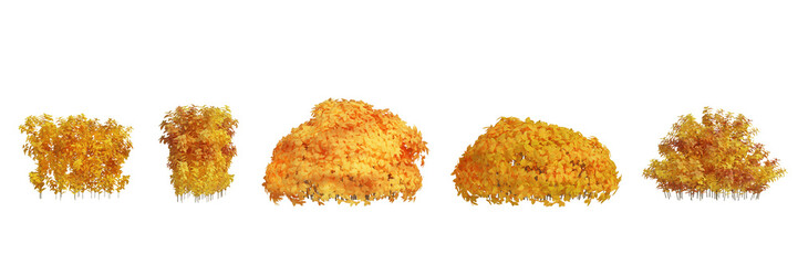 3d rendering Autumn tree isolated cut background

