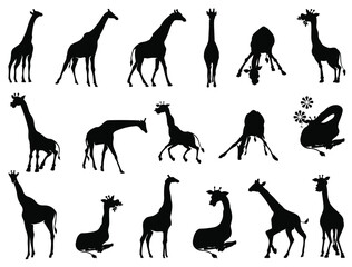 Giraffe silhouette vector art white background
