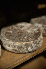 aged cheese in the cellar ready to eat gruyer cooking appetizer meal food snack on the table copy space food background rustic top view