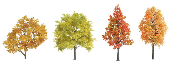 3d rendering Autumn tree isolated cut background

 - obrazy, fototapety, plakaty