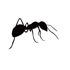 ant silhouette design. small animal sign and symbol.