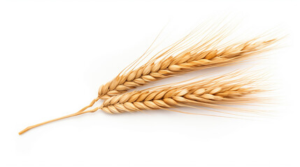 Dry ear of wheat isolated on white, AI Generative.