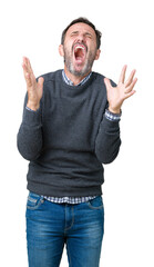 Handsome middle age senior man wearing a sweater over isolated background crazy and mad shouting and yelling with aggressive expression and arms raised. Frustration concept.